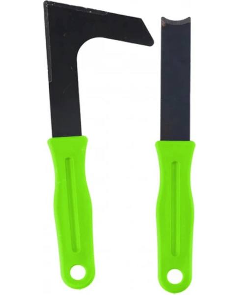 Terrarium mit Pflanzen und Terrariumwerkzeug-Set