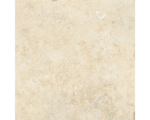 Wand- und Bodenfliese Apulia cream 40,6x40,6 cm