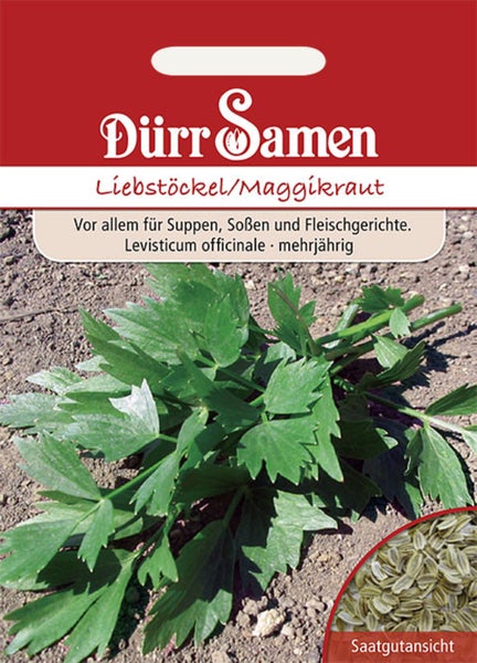 Samentüte für Liebstöckel Maggikraut von Dürr Samen mit Abbildung grüner Blätter auf Erde und einer Nahaufnahme der Samen.