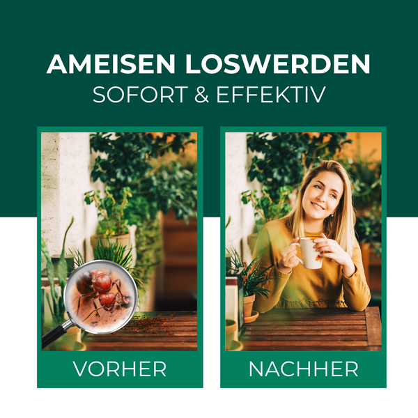 Silberkraft Ameisenspray 500 ml, hochwirksames Mittel gegen Ameisen in Haus & Garten, Sofort & Langzeitwirkung, Ameisen bekämpfen auf Terrasse, Balkon & Wegen
