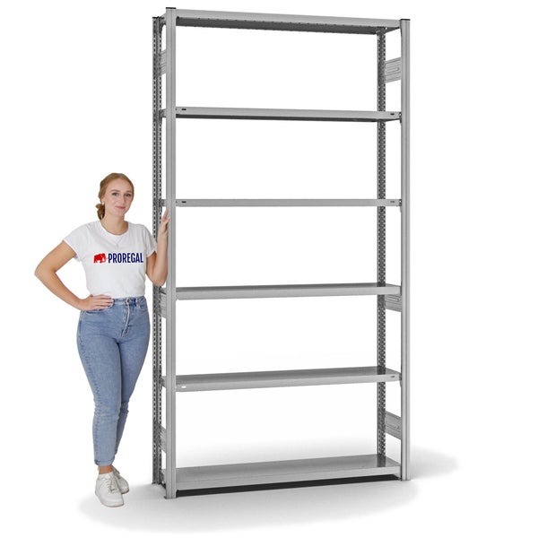 PROREGAL Fachbodenregal Stecksystem T-Profil Medium-Duty Grundregal HxBxT 250 x 130 x 30 cm 6 Ebenen Fachlast 200 kg Beidseitig Nutzbar Verzinkt