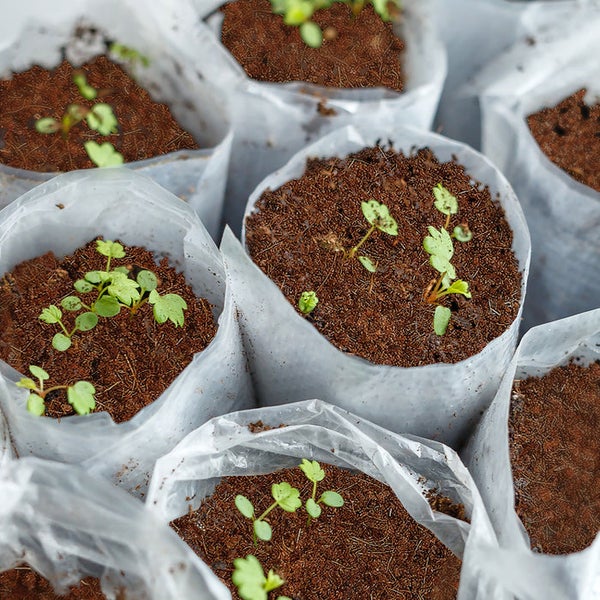 Schnellkupplung aus Metall