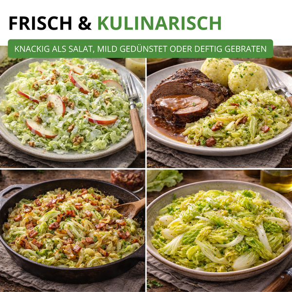 Collage mit Wirsing-Gerichten: Salat mit Äpfeln und Walnüssen, Braten mit Knödeln, Pfannengericht mit Speck und gedünsteter Wirsingkohl.