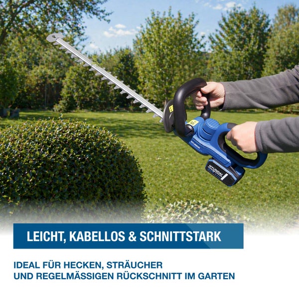 Hyundai Heckenschere mit Akkumulator im Einsatz bei einem Buchsbaum im Garten. Leichtes, kabelloses Gerät zum Schneiden von Hecken und Sträuchern.