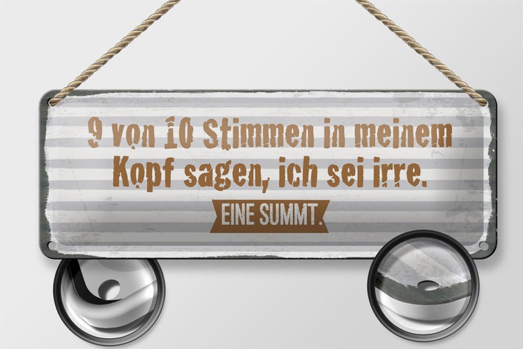 Blechschild Spruch 27x10 cm 9 von 10 Stimmen in meinem Kopf Dekoration