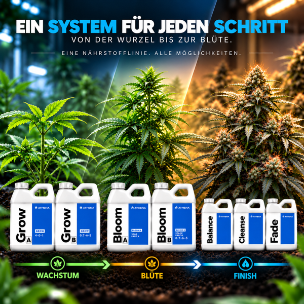 Athena Pflanzennährstoffsystem bestehend aus sieben Kanistern für die Wachstums- und Blütephasen von Pflanzen mit erklärender Infografik.