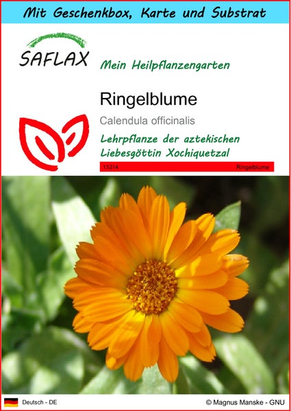 SAFLAX Geschenk Set - Ringelblume - Calendula officinalis - 50 Samen - Mit Geschenkbox, Versandaufkleber, Geschenkkarte und Anzuchtsubstrat