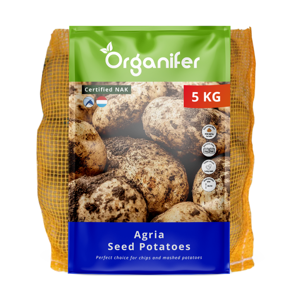 Geerntete Kartoffeln werden in den Händen gehalten