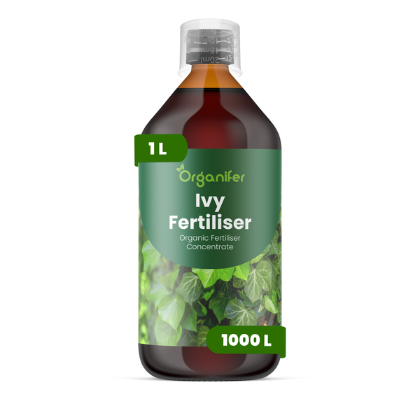 Ivy Flüssigdünger 1L – 2-1-8 NPK – Flüssig-Pflanzendünger für Efeu (Ivy) – Organifer