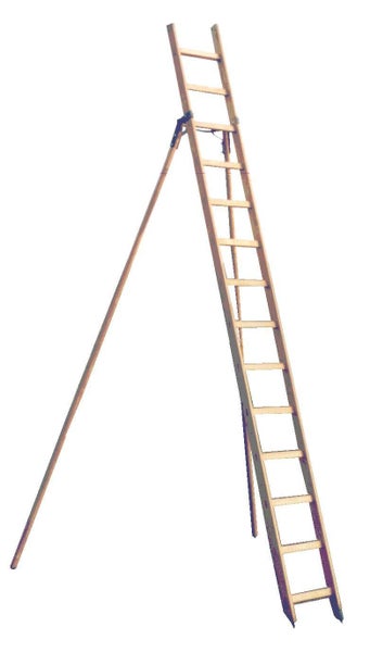 PROREGAL Gartenleiter Mit Eichensprossen Made in Germany 14 Sprossen 4,1 m Länge Holzleiter Klappleiter