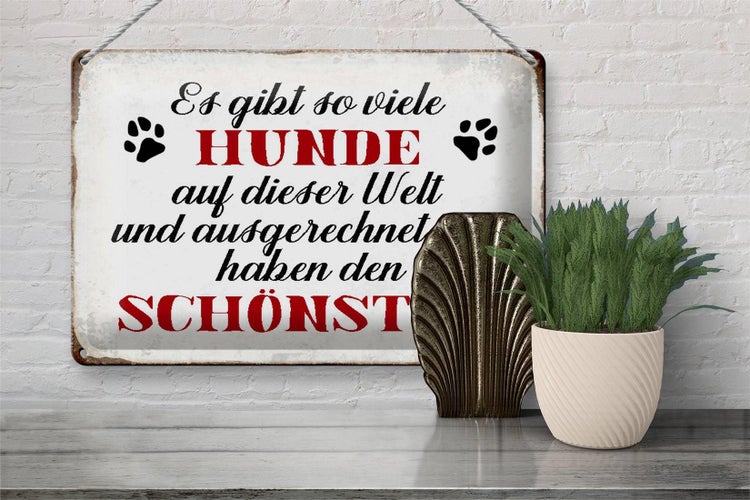 Blechschild Spruch 30x20cm es gibt so viele Hunde Schild