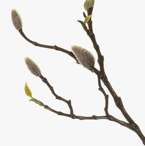 Kunstzweig Magnolie MALVAO, Creme, 90cm - Deko Magnolia