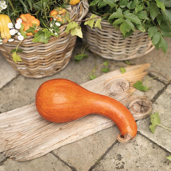 Ein einzelner Zierkürbis liegt auf einem Holzbrett vor zwei Weidenkörben mit Pflanzen und weiteren kleinen Kürbissen auf einem Steinboden.