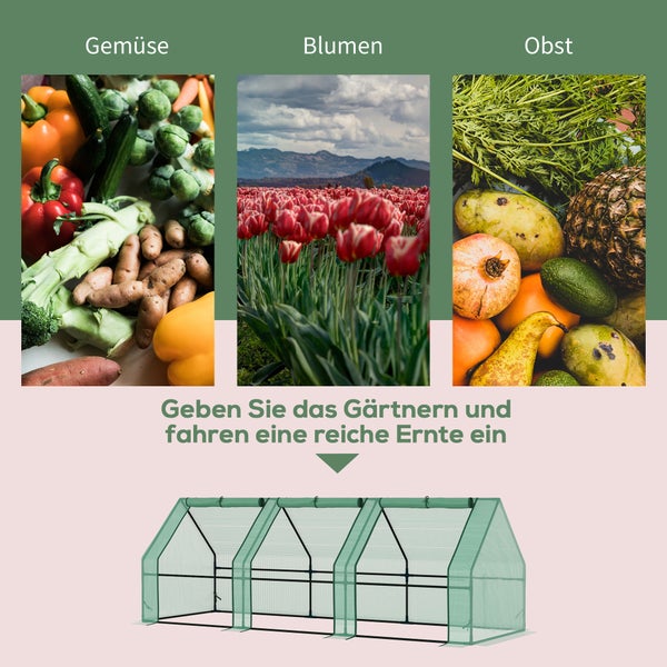 Gewächshaus mit Pflanzen, Leiter und Gießkanne im Garten
