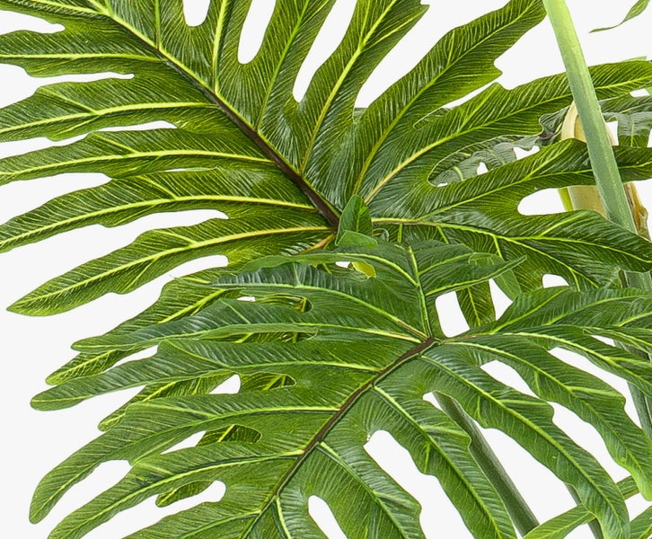 Künstliches Ziergras mit langen, schmalen Halmen in Grün und Rotbraun.