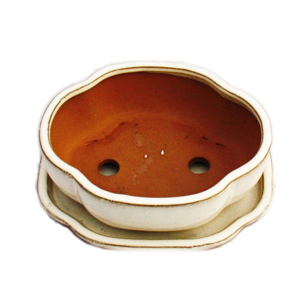 Bonsai-Schale mit Unterteller Gr. 2 hellbeige haitang/oval  Modell I5 L 14,5cm B 12,5cm H 5cm