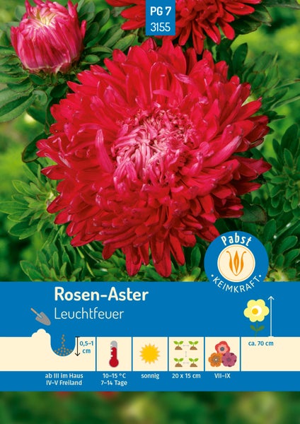 Rückseite der Samentüte für Rosen-Aster Leuchtfeuer von Carl Pabst mit Carl Pabst Logo und Hinweisen zu Aussaat, Kultur, Standort und Blütezeit.