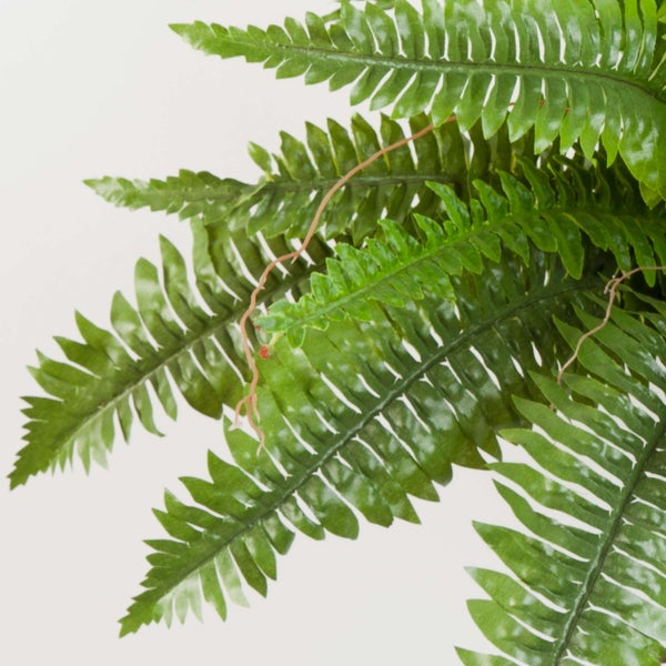 Detailaufnahme eines künstlichen Farns mit grünen Wedeln und braunen Stielen.