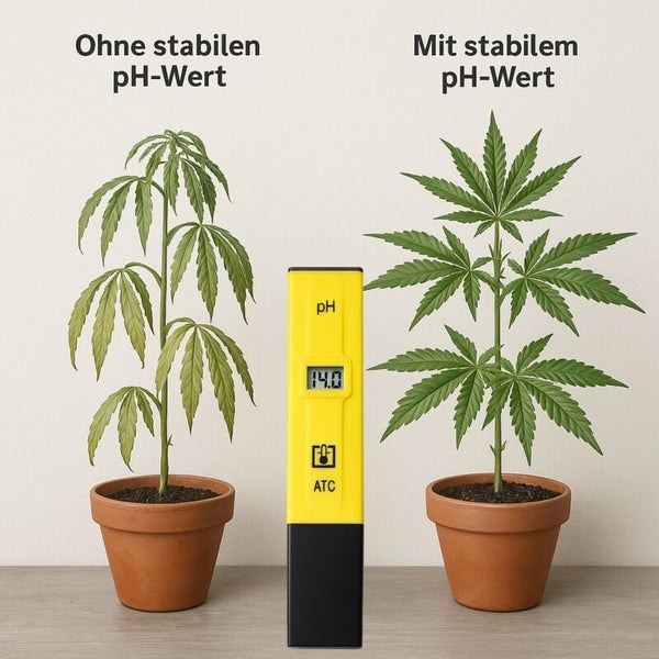 Illustration with pH meter and two plants demonstrating the importance of a stable pH value