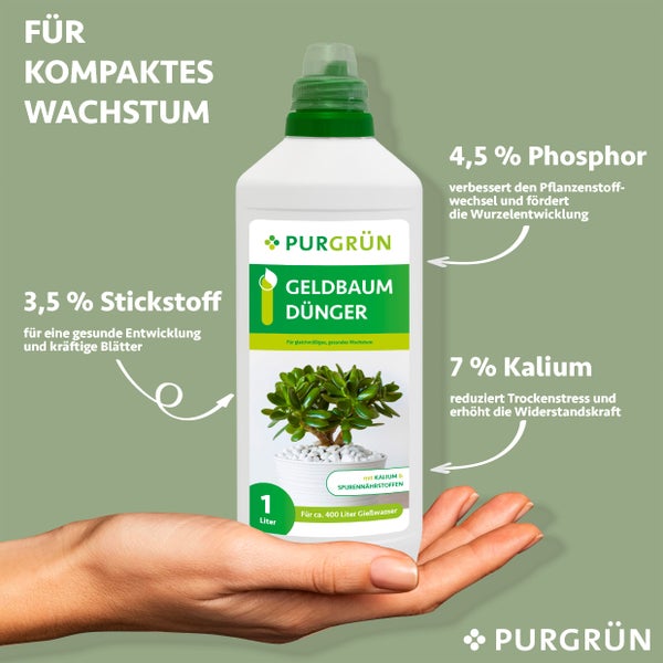 Purgrün Geldbaum-Dünger 1 Liter