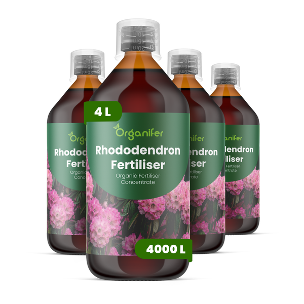 Vier Flaschen Organifer Rhododendron-Dünger, organisches Düngerkonzentrat, 4 Liter für 4000 Liter Düngemittel.
