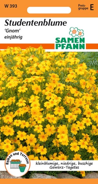 Samenpackung Studentenblume Gnom einjährig von Samen Pfann