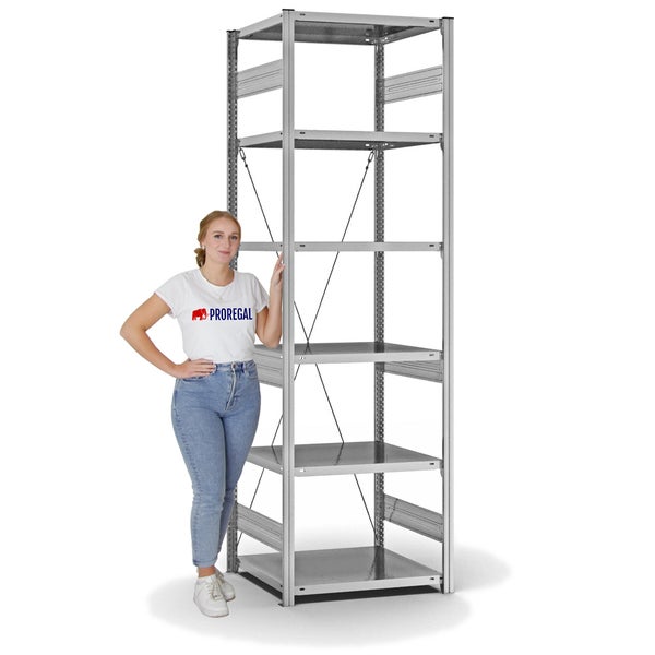 PROREGAL Fachbodenregal Stecksystem T-Profil Heavy-Duty Grundregal HxBxT 250 x 75 x 60 cm 6 Ebenen Fachlast 300 kg Einseitig Nutzbar Verzinkt