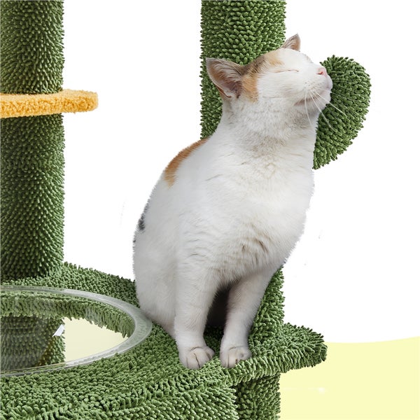 Katze kuschelt sich an einen Kratzbaum