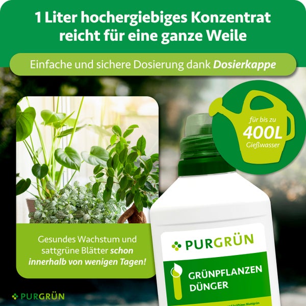 Purgrün Grünpflanzendünger Konzentrat 1 Liter mit Dosierkappe für 400 Liter Gießwasser, für gesundes Wachstum und grüne Blätter.