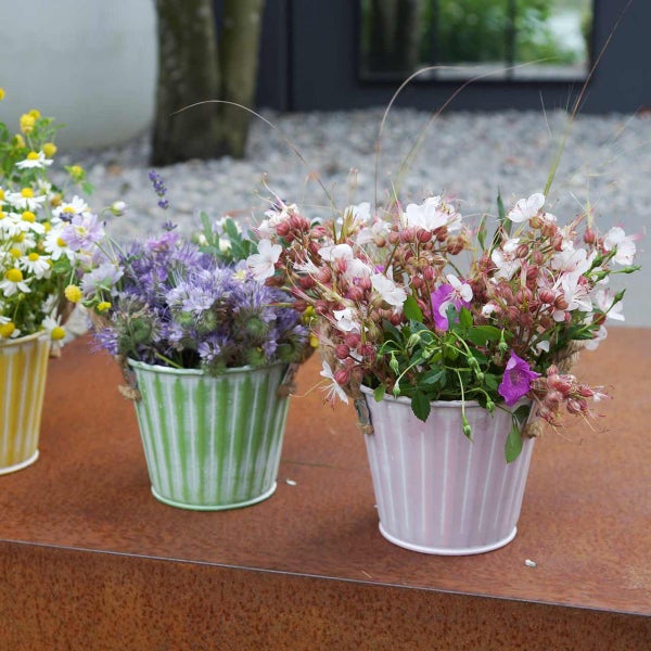 Drei dekorative Übertöpfe mit verschiedenen Blumenarrangements
