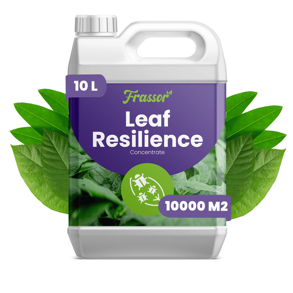 Frassor Leaf Resilience Pflanzenschutz Konzentrat in 10 Liter Kanister zur Behandlung von 10000 Quadratmeter.