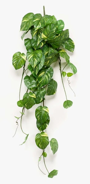 Künstlicher Busch Efeututen JULIANO auf Steckstab, grün, 135cm - Künstlicher Pothos