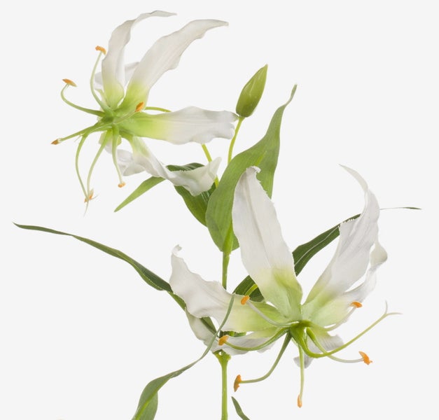 Künstlicher Blauregen-Zweig mit grünen Blättern und weißen Blüten.
