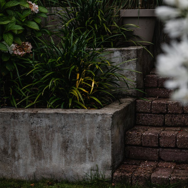 Beleuchtete Gartenbepflanzung in einem Betonhochbeet neben gemauerten Steinstufen.