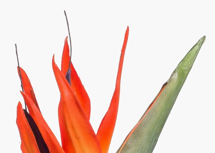 Künstliche Strelitzie MELIORN, orange-violett, 85cm - Kunst Strelitzie