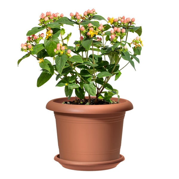 Scheurich 3er Set Blumentöpfe Oliver mit Untersetzern, Farbe: Terracotta, 40,4 cm Durchmesser, 28,1 cm hoch, 19,3 l Vol.