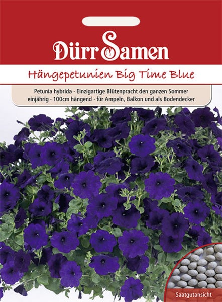 Petunien Big Time Blue dunkelblau einjährig 100 cm Samen von Dürr Samen
