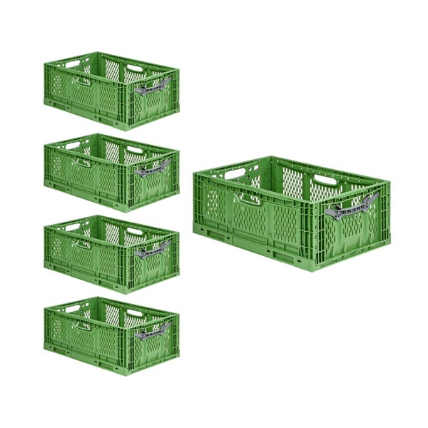 PROREGAL SuperSparSet 5x Stabile Profi-Klappbox Chameleon in Industriequalität HxBxT 23 x 40 x 60 cm 45 Liter klappbar stapelbar