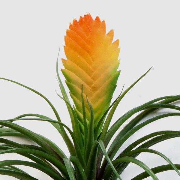 Nahaufnahme einer künstlichen Tillandsia mit langen, schmalen grünen Blättern und einer gelben Blüte.