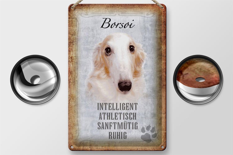 Blechschild Spruch 20x30cm Borsoi Hund athletisch Schild