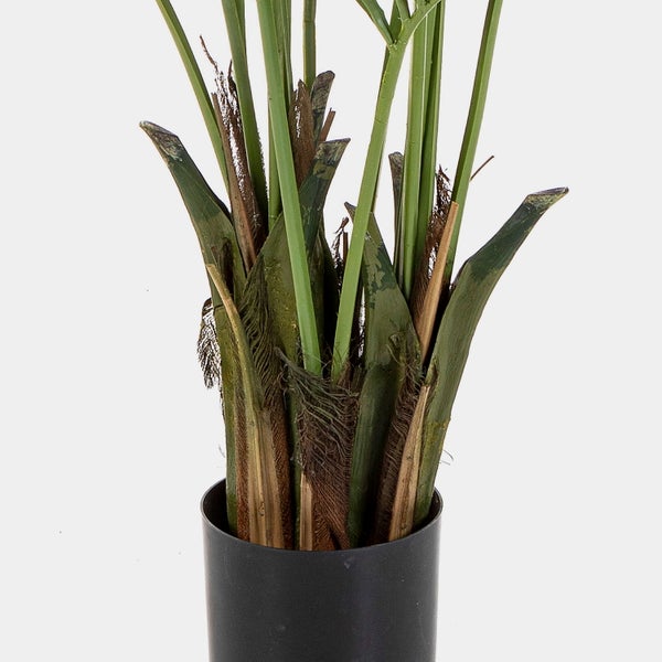 Detailaufnahme der grünen Blätter einer künstlichen Palme.