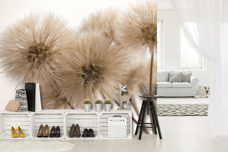 Wohnzimmer mit Regalen, Dekoration und einer Tapete mit Pusteblumenmotiv