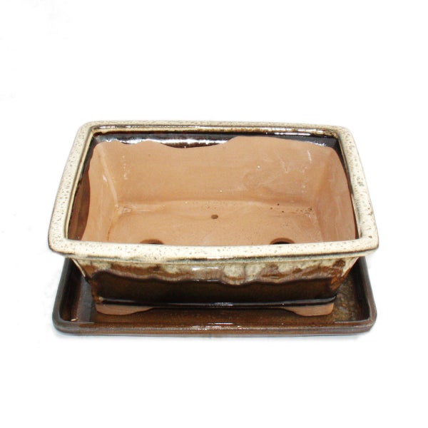 Rechteckige Bonsaischale aus Keramik mit Drainagelöchern.
