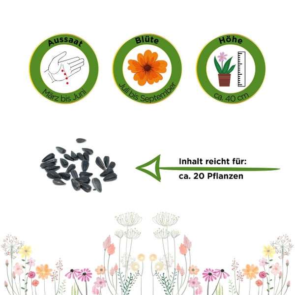 Piktogramme zur Aussaat von März bis Juni, Blüte von Juli bis September, Wuchshöhe circa 40 Zentimeter. Inhalt reicht für circa 20 Pflanzen.