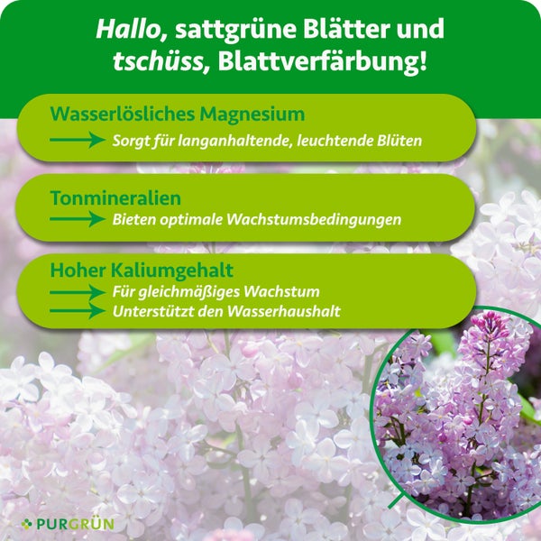 Infografik zu Purgrün Pflanzendünger mit Magnesium, Tonmineralien und Kalium für gesunde Blätter, optimales Wachstum und langanhaltende Blüten.