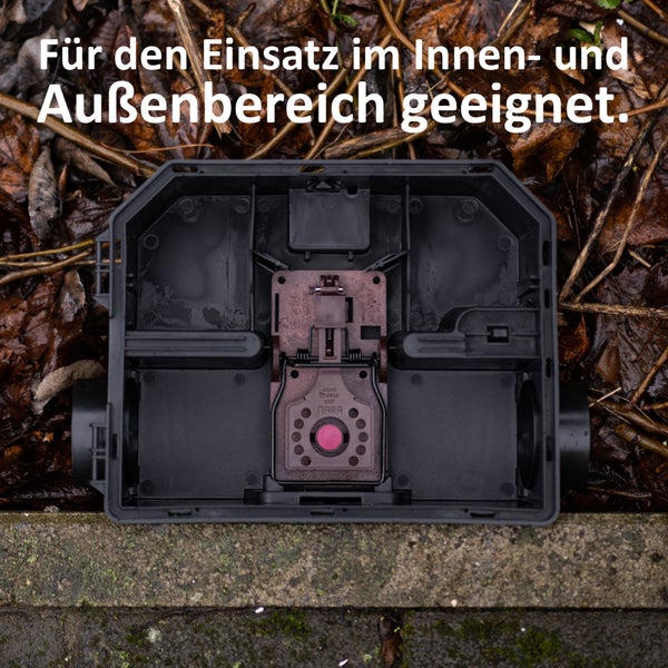 Rattenfalle VANGUARD