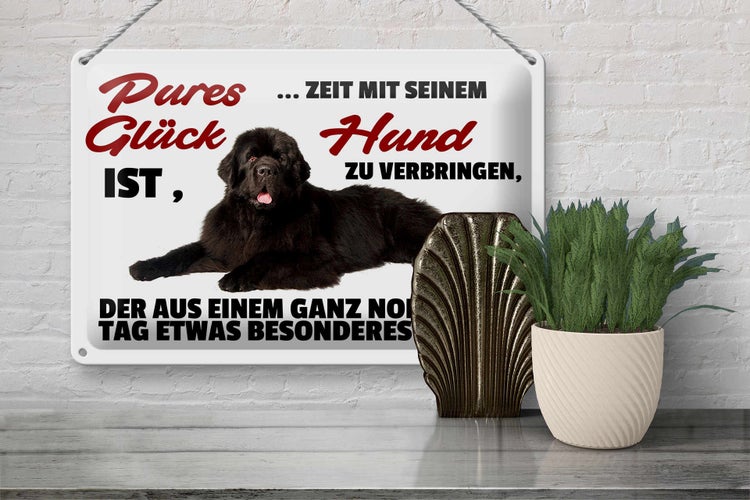 Blechschild Spruch 30x20cm pures Glück ist Zeit mit Hund