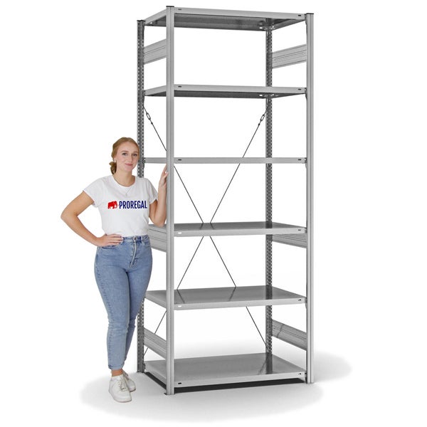 PROREGAL Fachbodenregal Stecksystem T-Profil Heavy-Duty Grundregal HxBxT 250 x 100 x 60 cm 6 Ebenen Fachlast 330 kg Einseitig Nutzbar Verzinkt