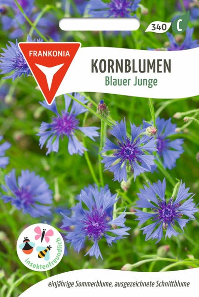 Kornblumen Blauer Junge Samenpackung