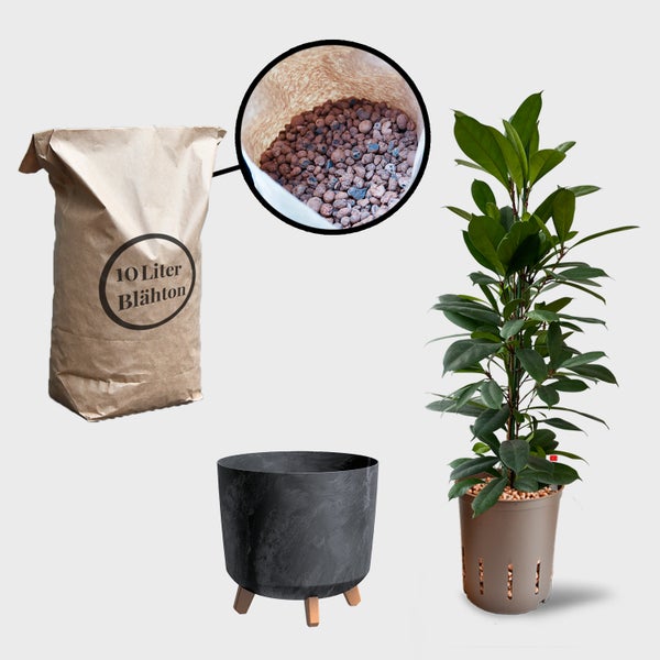 Illustration mit Blähton im Sack und in einer Nahansicht, einem Blumentopf und einer Zimmerpflanze